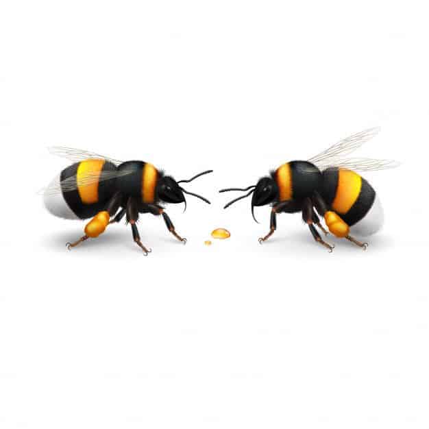 Sensor de campo eléctrico de Bumblebee
