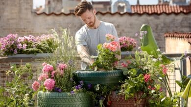 Beneficios para la salud mental de la jardinería