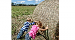 ¿Tienes que trabajar duro para construir una relacion para que