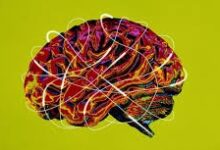 Ética y Psicología: Cambios Neurales Funcionales Asociados con Psicoterapia para Trastornos de Ansiedad