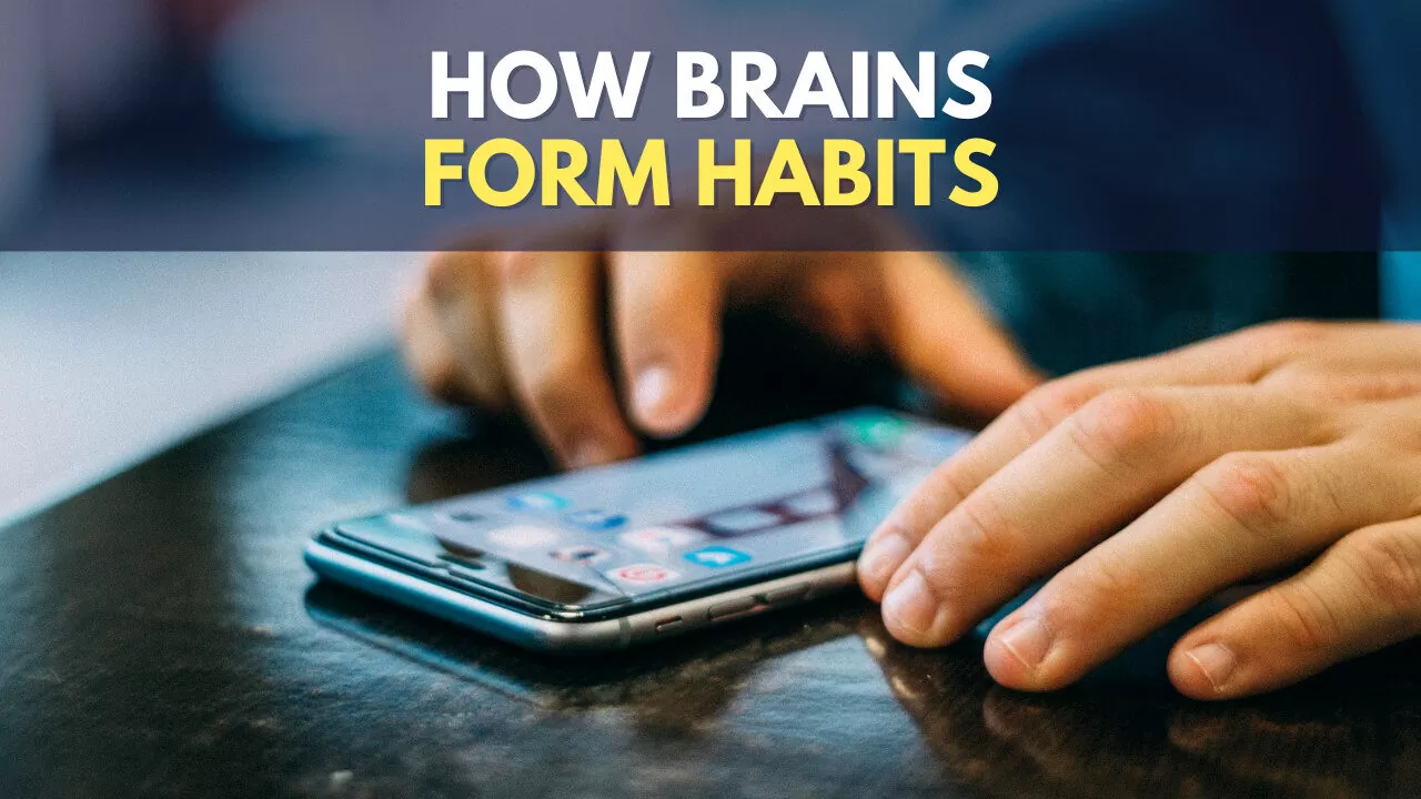 Cómo se forman los hábitos en el cerebro