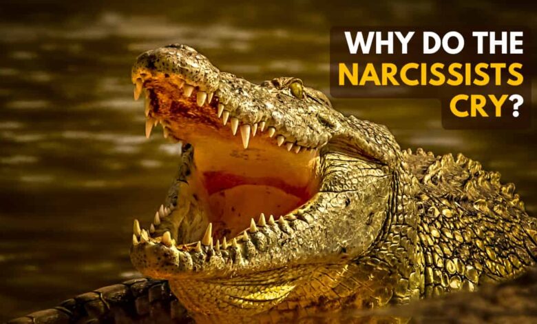 ¿Los narcisistas lloran?  Si es así, ¿por qué están llorando?