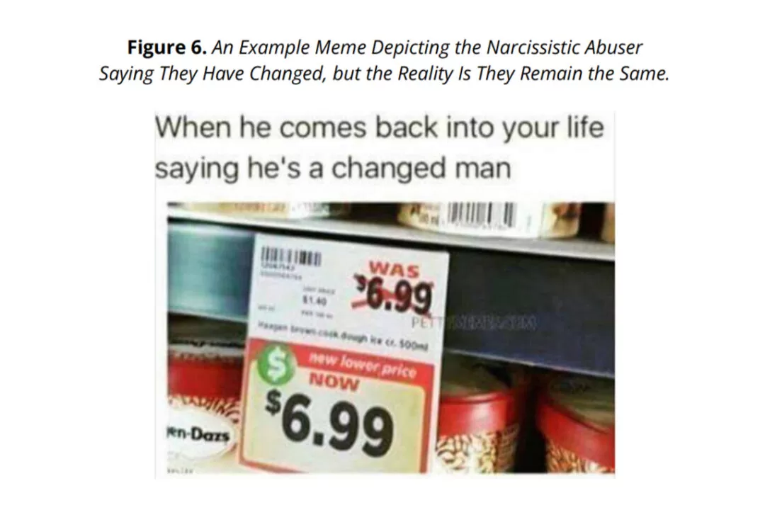 Cómo responder a la aspiradora narcisista (qué hacer después) 2 Blog de felicidad Meme - Los narcisos nunca cambian