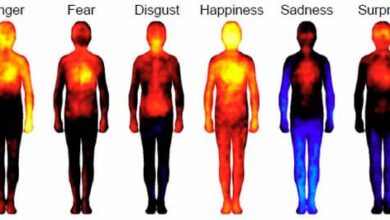 Cómo se siente la felicidad físicamente en el cuerpo