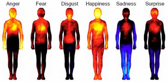 Cómo se siente la felicidad físicamente en el cuerpo