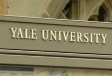 Yale cambia política de salud mental para estudiantes en crisis