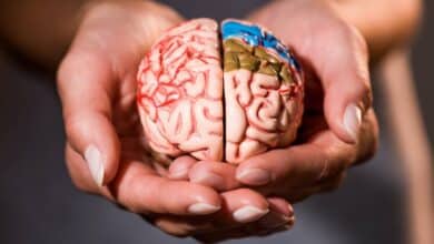 Lo que tu cerebro intenta decir cuando bajes el ritmo