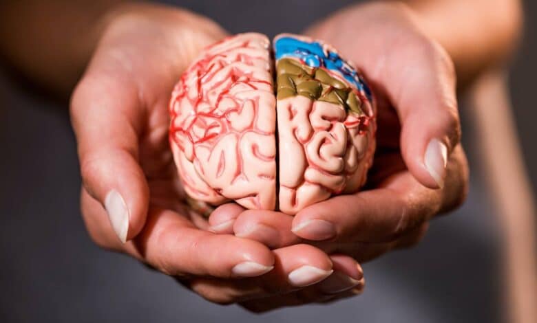 Lo que tu cerebro intenta decir cuando bajes el ritmo
