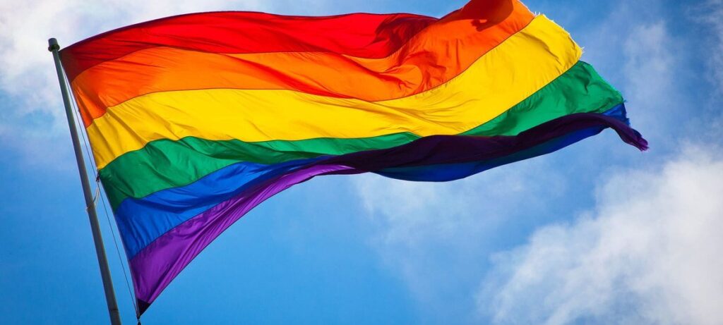 Discapacidad y diversidad LGTBIQ+: doble discriminación, doble necesidad de protección 3 Discapacidad y diversidad LGTBIQ+ bandera
