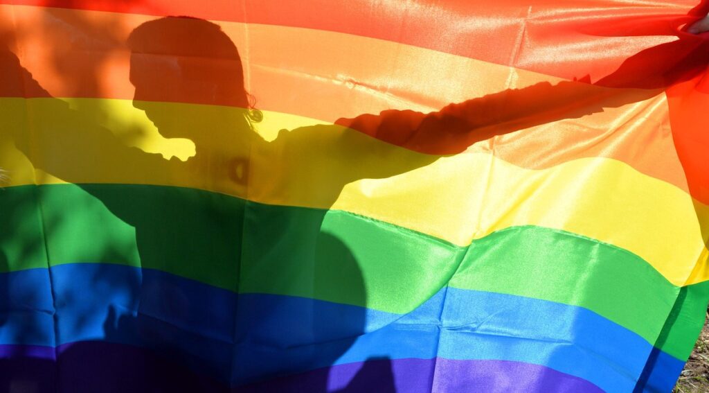 Discapacidad y diversidad LGTBIQ+: doble discriminación, doble necesidad de protección 2 Discapacidad y diversidad LGTBIQ+ bandera persona detrás